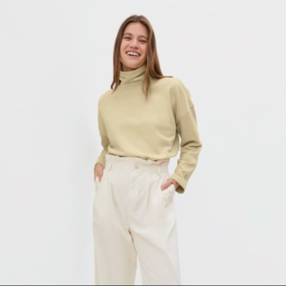 Everlane Turtleneck Sweatshirt